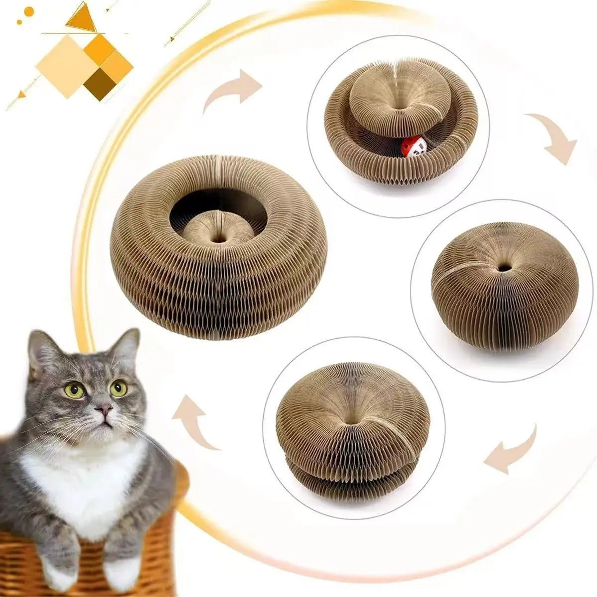 Griffoir Magique pour Chats