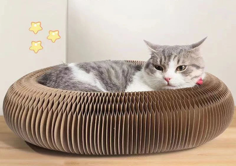 Griffoir Magique pour Chats